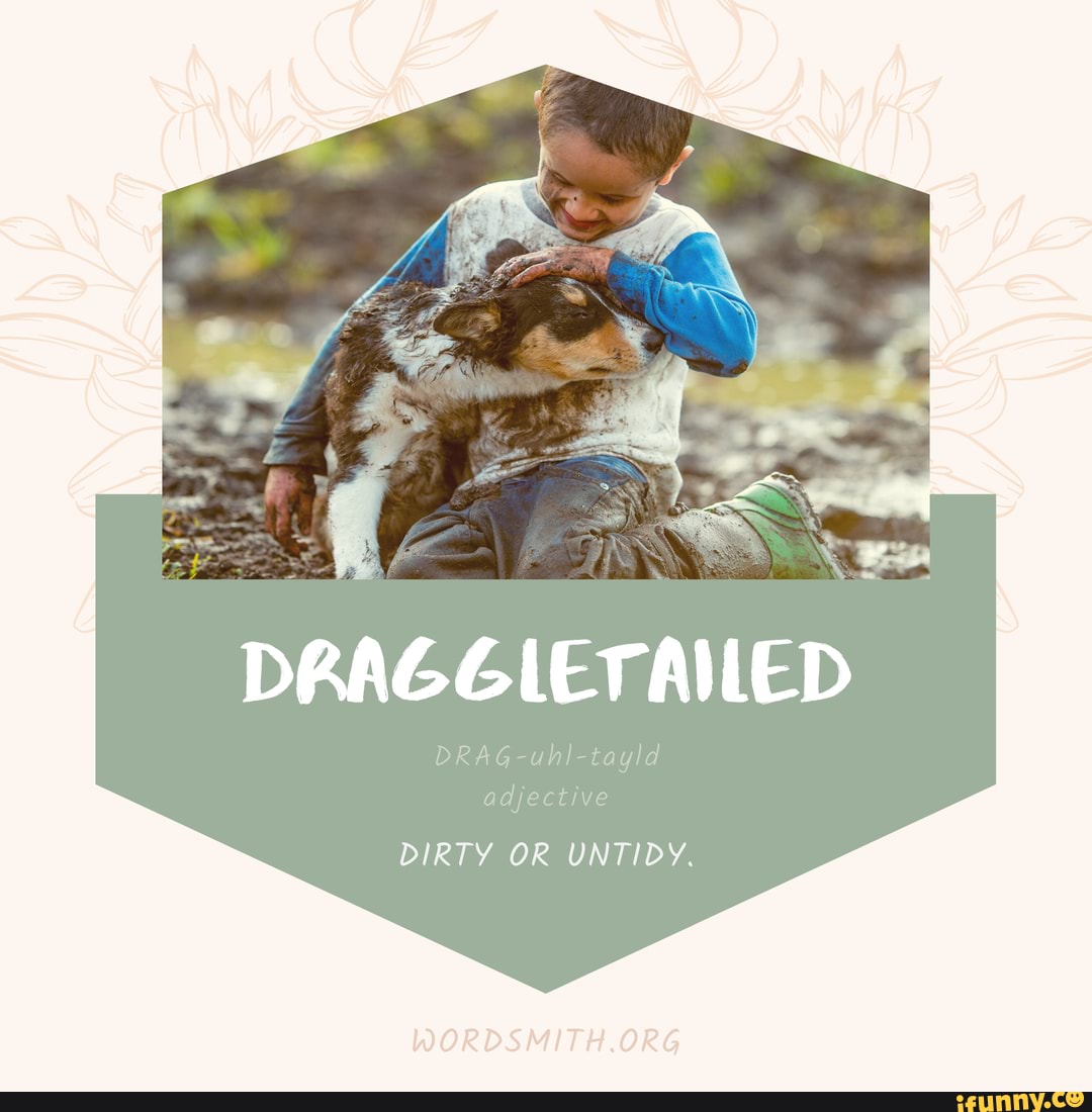 DRAGGLETAILED DRAGuhltayld adjective DIRTY OR UNTIDY. iFunny