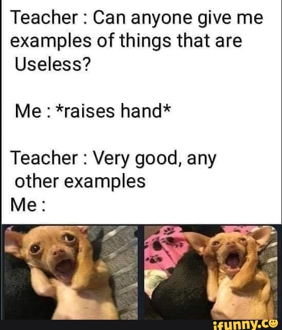 Teacher Can anyone give me
examples of things that are
Useless?
Me: *raises hand*
Teacher Very good, any
other examples