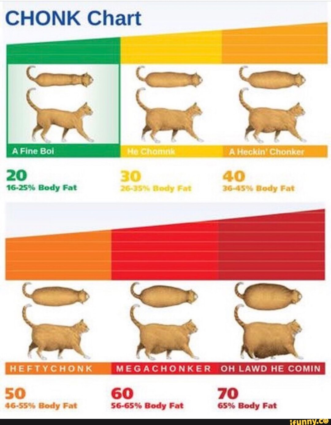 CHONK Chart IFunny