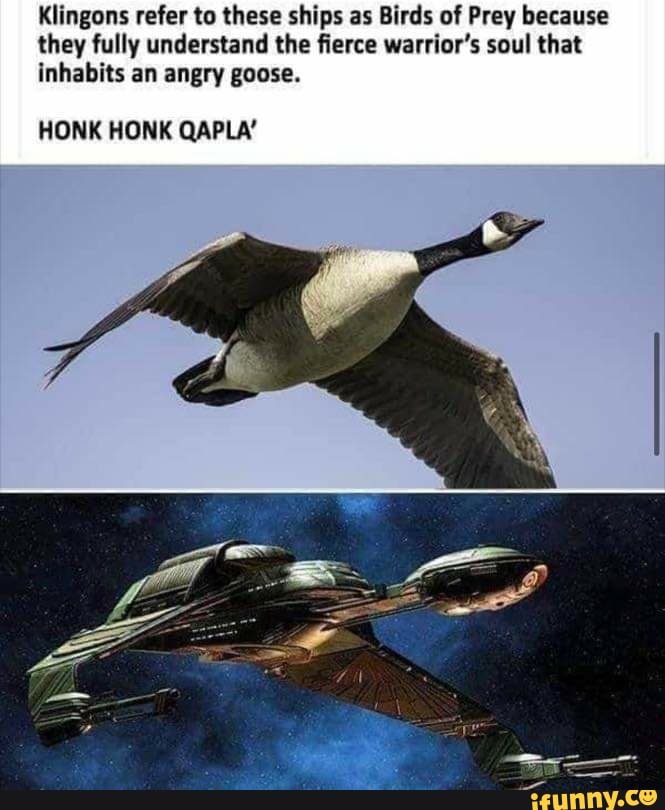 Klingons refer to these ships as Birds of Prey because they fully ...