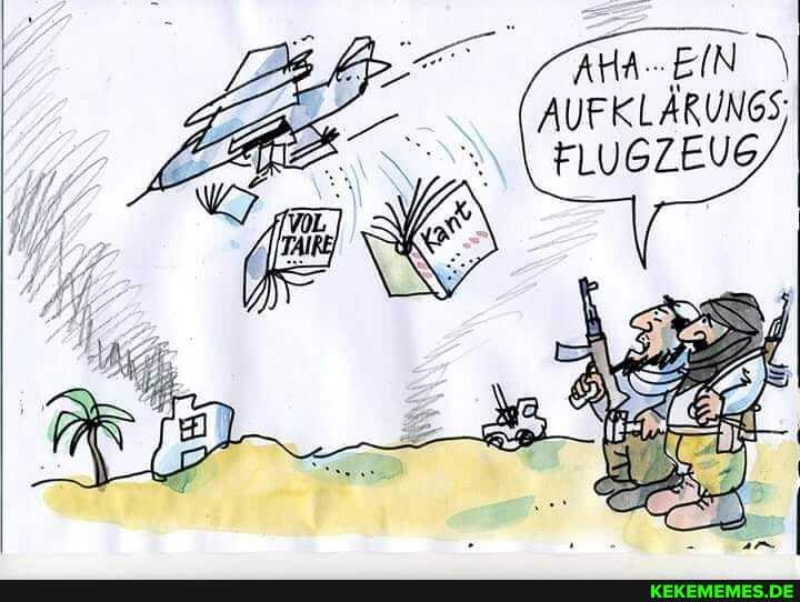 AUFKLÄRUNGS;
FLUGZEUG