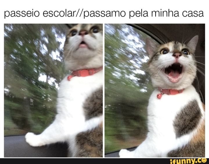 passeio pela minha casa