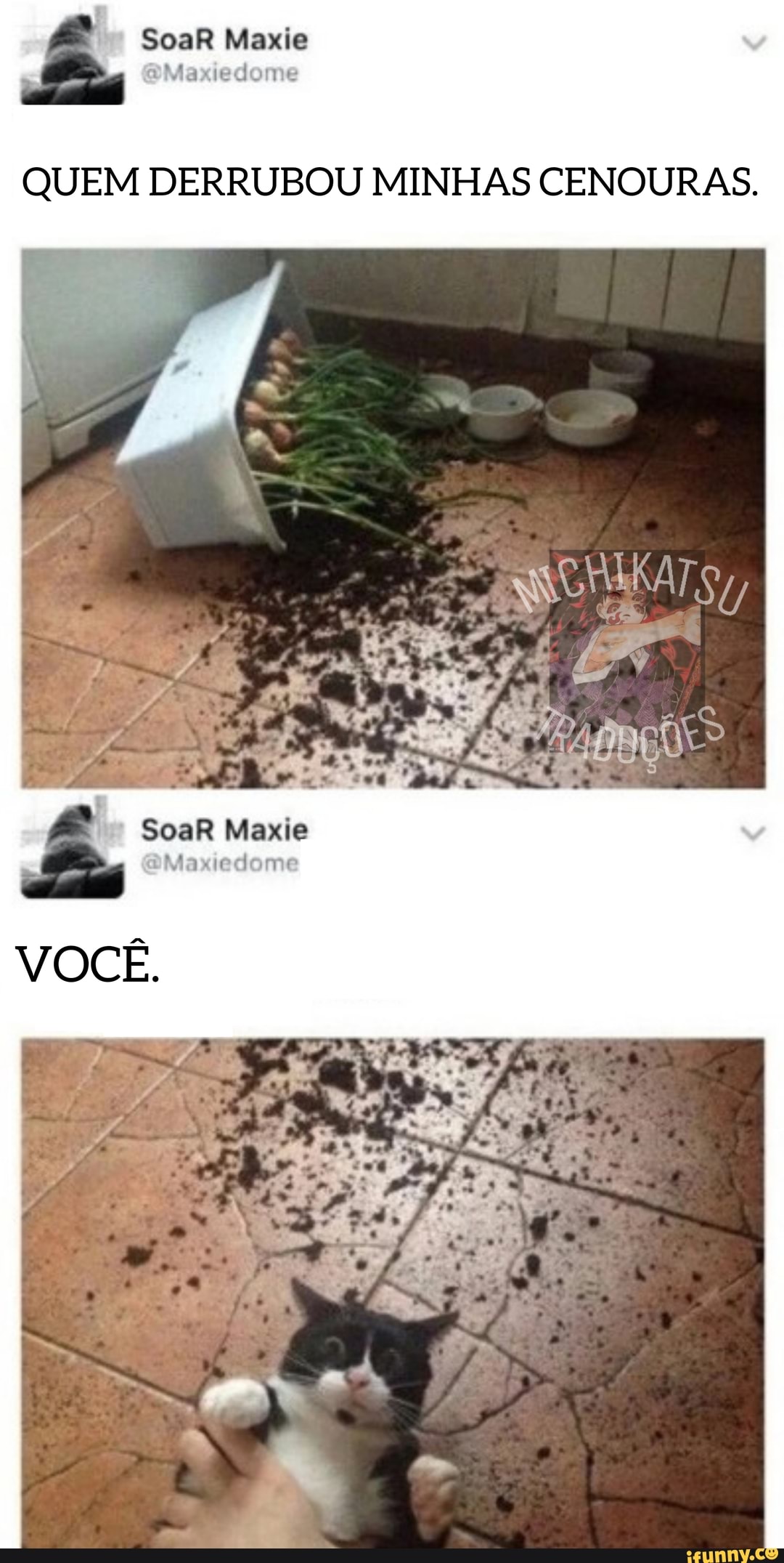 SoaR Maxie
Age
QUEM DERRUBOU MINHAS CENOURAS.
SoaR Maxie
PMaxiedome
VOCÊ.