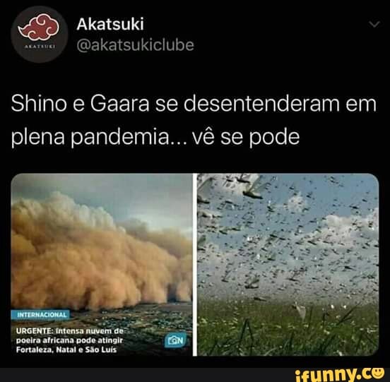 Shino e Gaara se desentenderam em
plena pandemia... vê se pode