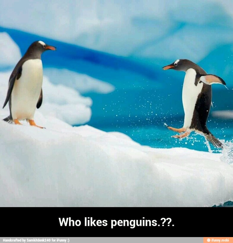 Who likes penguins.??. - Who likes penguins.??.