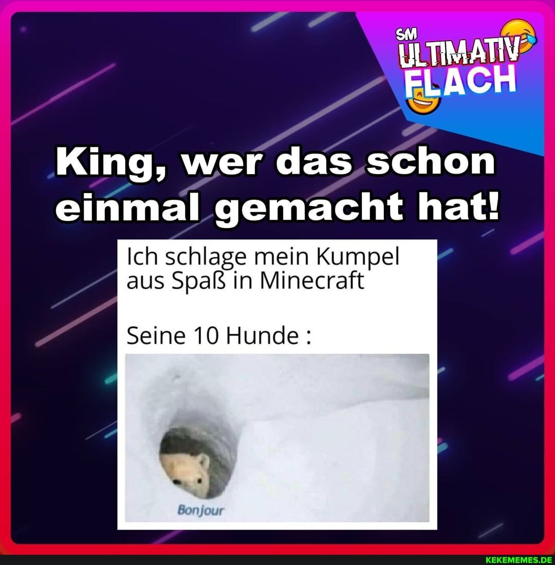 ILTIMATIV FLACH
King, wer das schon einmal gemacht hat!
Ich schlage mein Kumpel aus Spaß in Minecraft
Seine 10 Hunde: