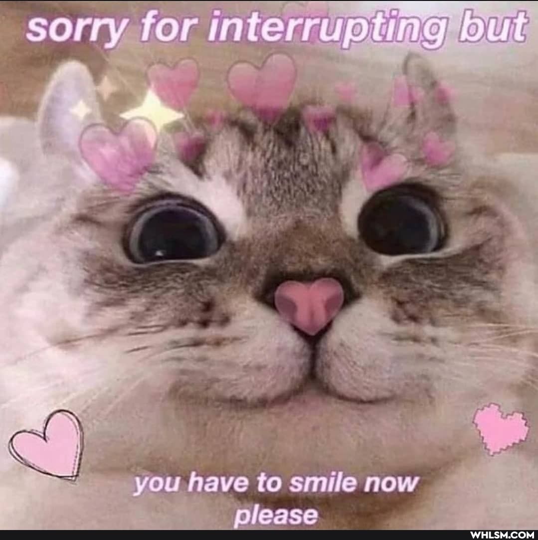 sorry for interrupting
you to smile now