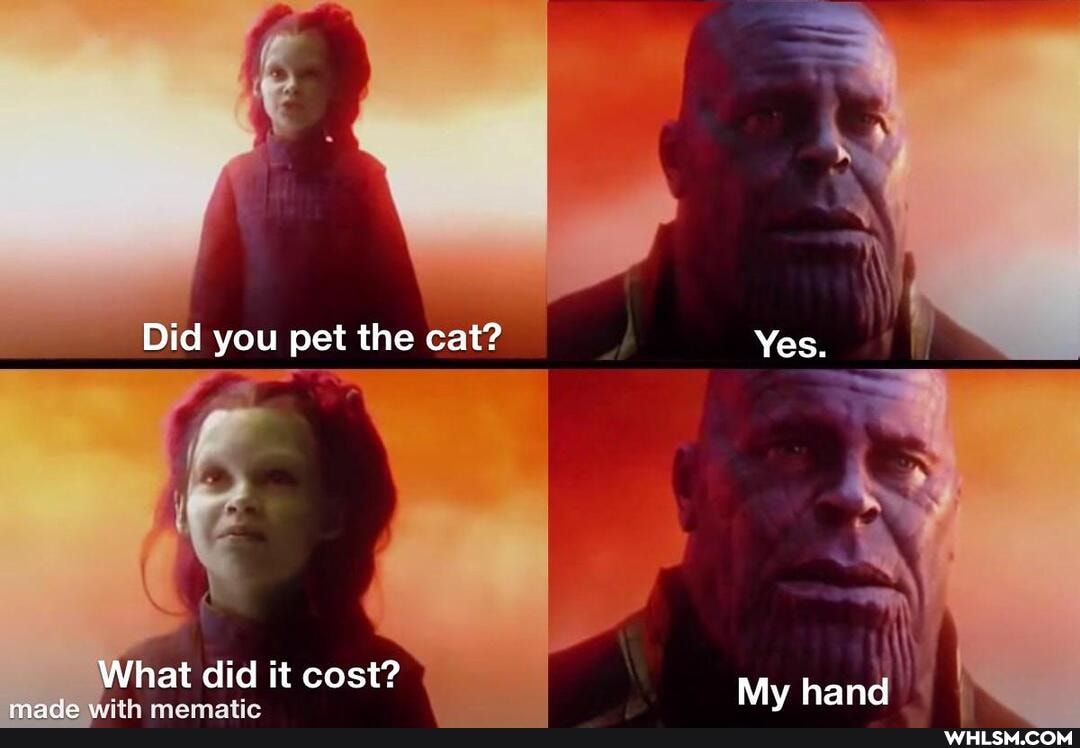 Did you pet the cat? Yes.
What did it cost? My hand