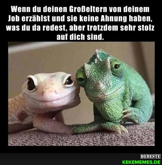 Wenn du deinen Großeltern von deinem
Job erzählst und sie keine Ahnung haben, was du da redest, aber trotzdem sehr stolz auf dich sind.
