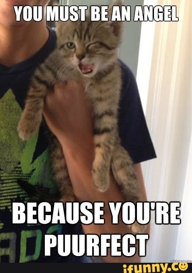 BECAUSE PUURFECT
YOU MUST BEAN