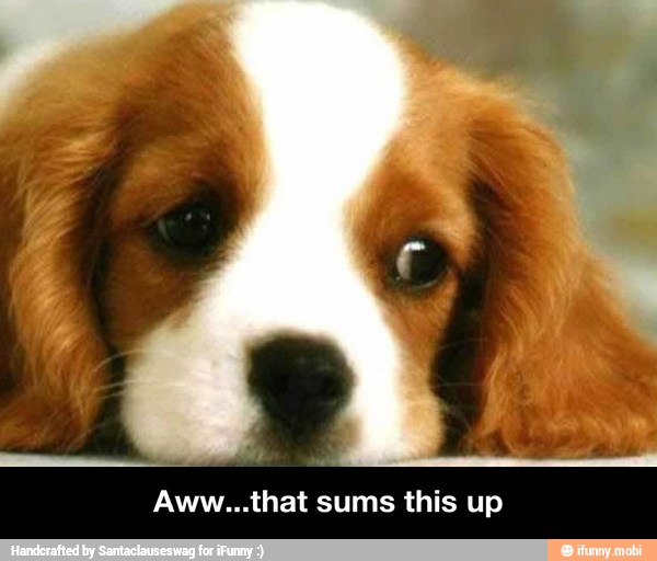 Aww...that sums this up - Aww...that sums this up