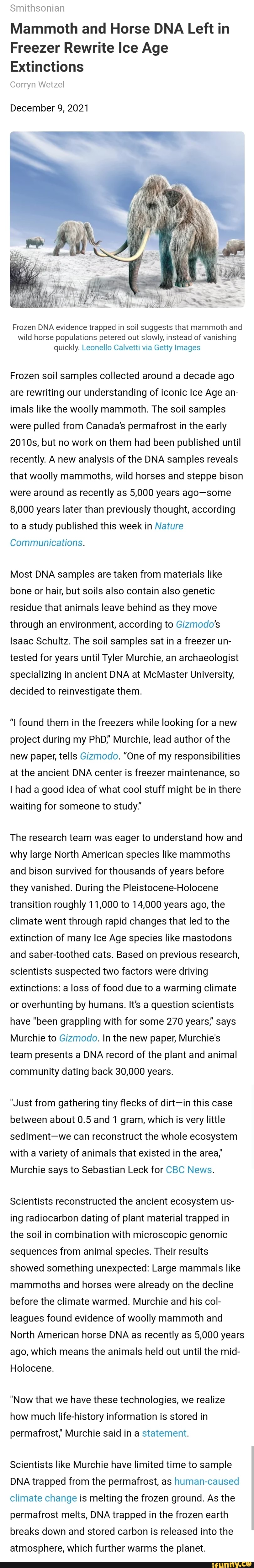 smithsonian-mammoth-and-horse-dna-left-in-freezer-rewrite-ice-age