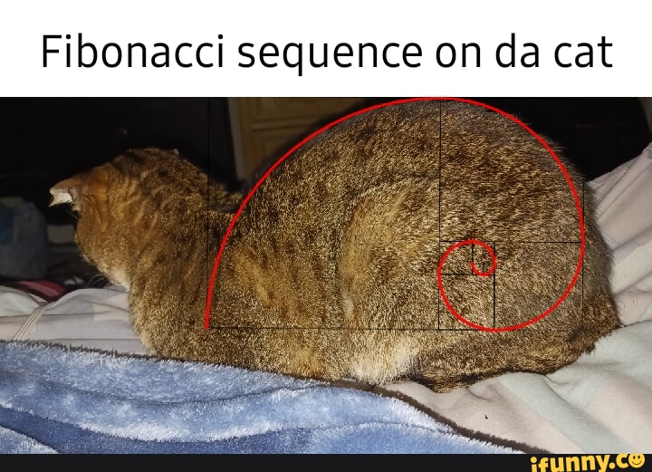 Fibonacci memes. Best Collection of funny Fibonacci pictures on iFunny