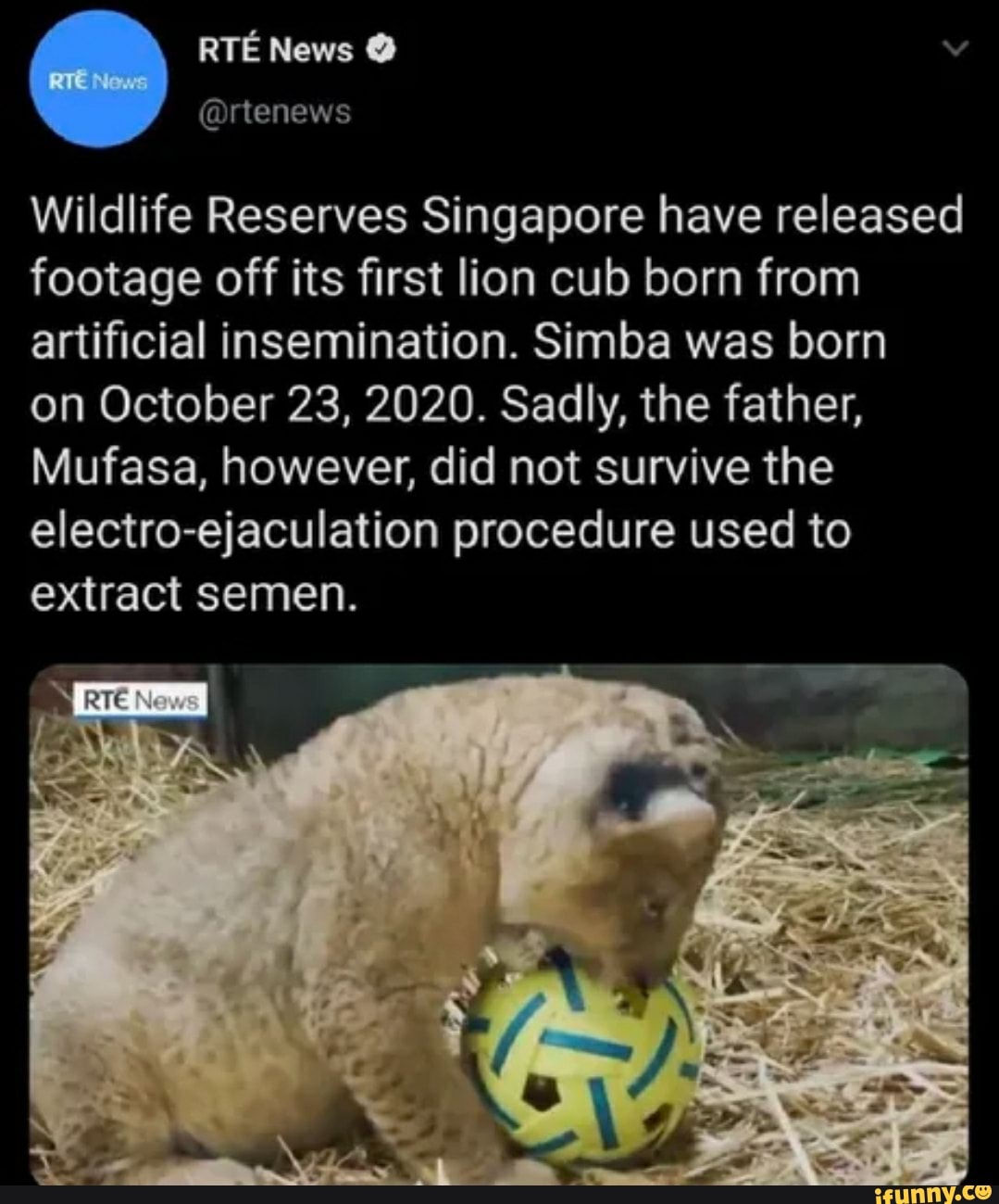 RTE News Wildlife Reserves Singapore have released footage off its