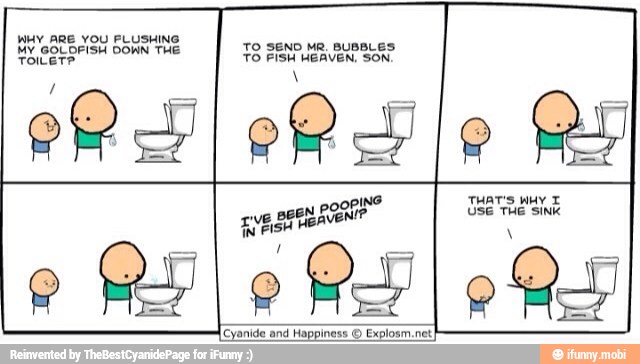 WHY ARE YOU FLUSHING
MY GOLOFISH DOWN THE
TOILET?
TO SEND MR. BUBBLES
TO FISH HEAVEN, SON.