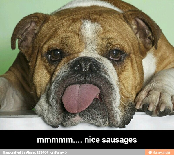 mmmmm.... nice sausages - mmmmm.... nice sausages