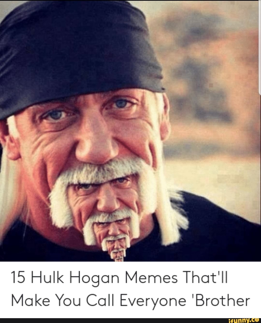 15 Hulk Hogan Memes That'll Make You Call Everyone 'Brother - )
