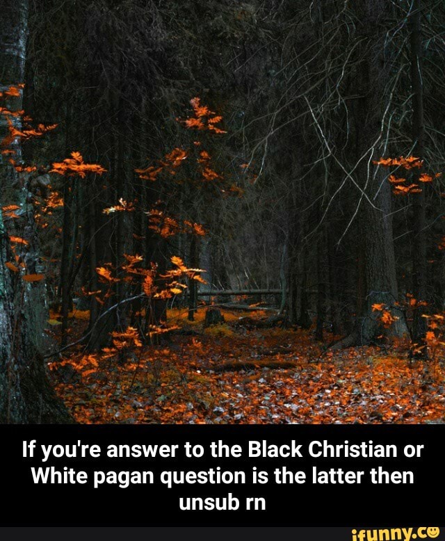If you're answer to the Black Christian or
White pagan question is the latter then unsub rn - If you're answer to the Black Christian or White pagan question is the latter then unsub rn