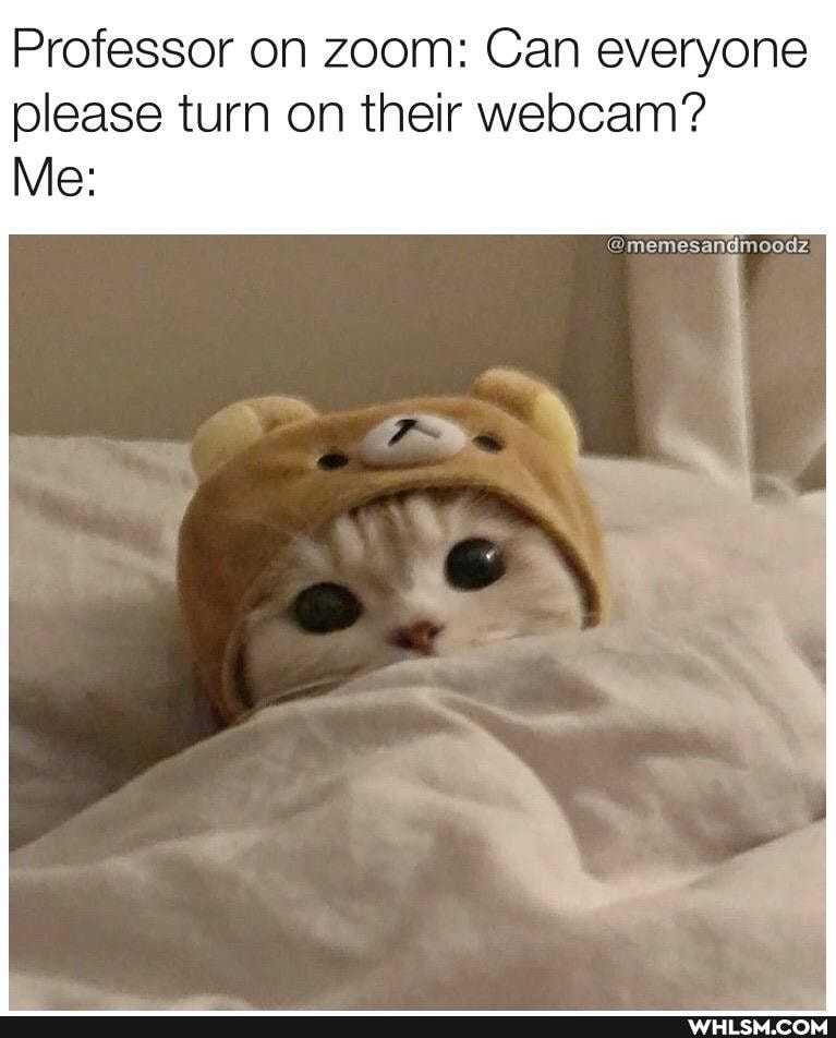 Professor on zoom: Can everyone please turn on their webcam?
Me:
@memesandmoodz,
