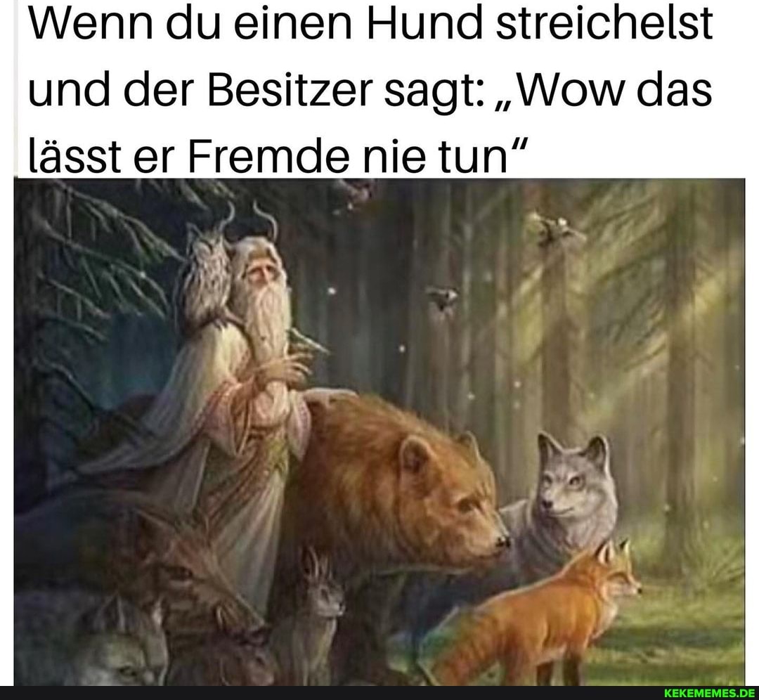 Wenn du einen Hund streichelst und der Besitzer sagt: "Wow das lässt er Fremde nie tun"