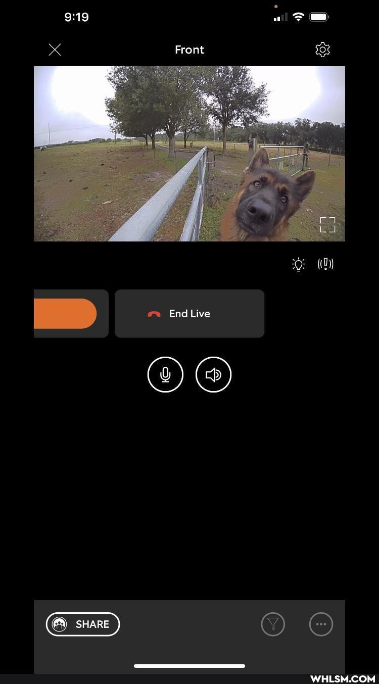 Front
End Live
SHARE