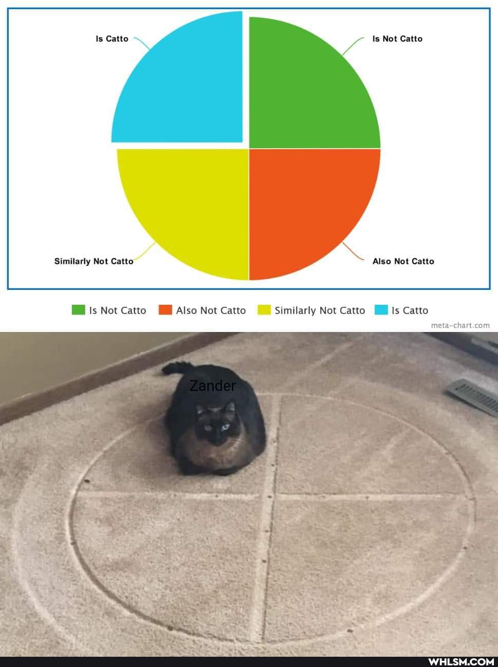 Is Not Catto
Similarly Not Catto Also Not Catto
is Not Catto Also Not Catto Similarly Not Catto Is Catto
meta-ch