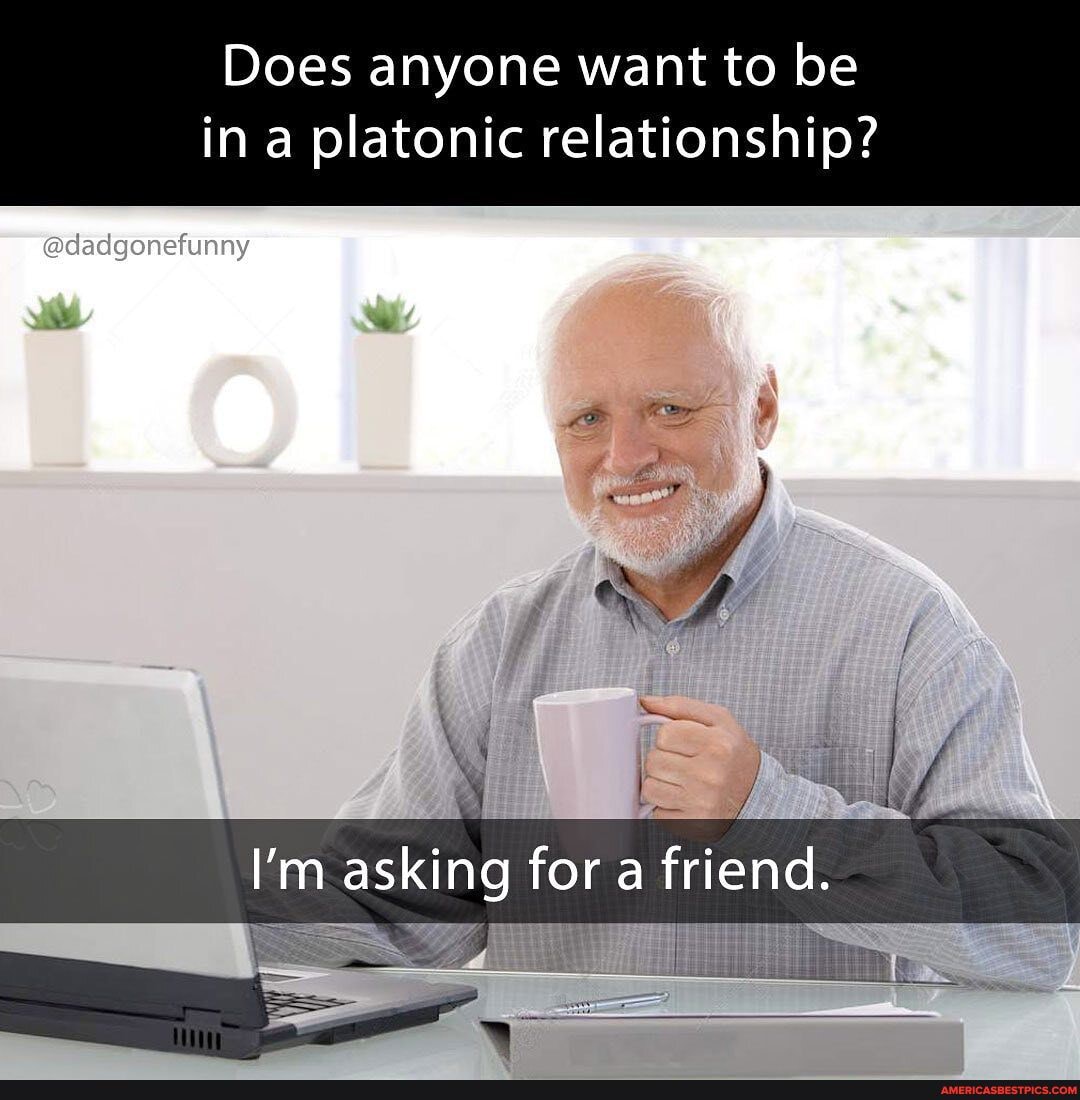 Does anyone want to be in a platonic relationship?
@dadgonefunny
I'm asking for a friend.