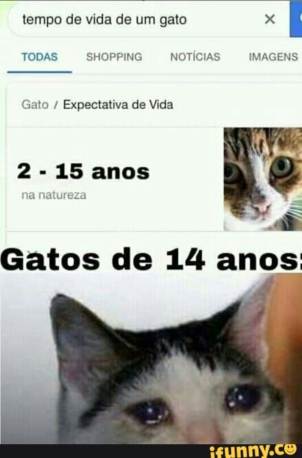 tempo de vida de um gato x
I
Gato Expectativa de Vida
Gatos de 14 anos