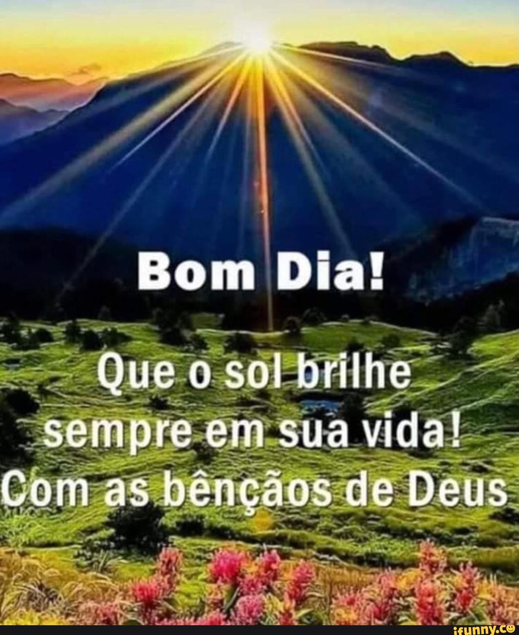 Bom Dia! Que o sol brilhe sempre em sua vida! Com as bençãos de Deus -  iFunny Brazil