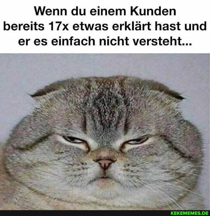 Wenn du einem Kunden bereits etwas erklärt hast und
er es einfach nicht versteht...