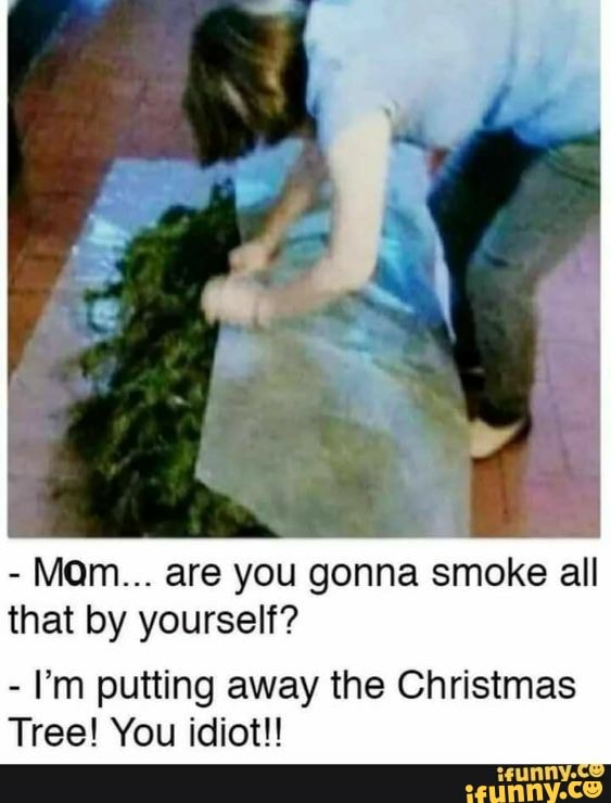 - Mam... are you gonna smoke all that by yourself?
- I'm putting away the Christmas
Tree! You idiot!!