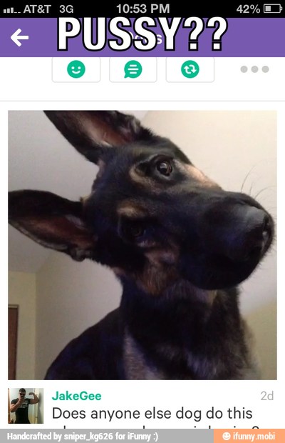 e
PUSSY?
Does anyone else dog do this