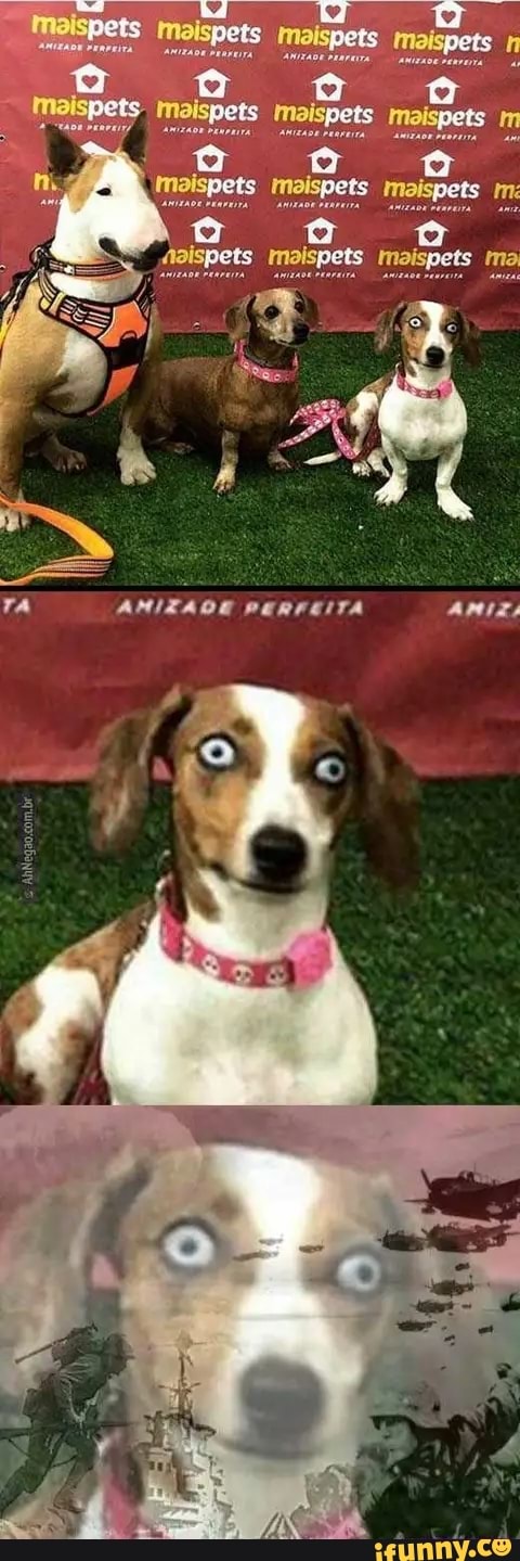 TA AMIZADE PERFEITA AMIZ,
LO