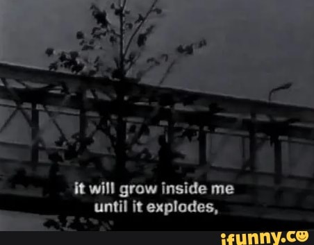 It will grow inside me _Until it explodes, - iFunny