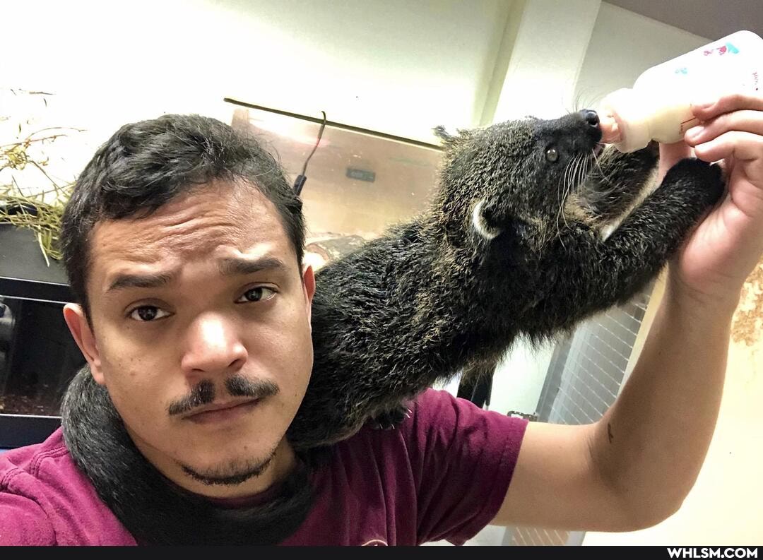 nomakeup, merry_christmas, christmas_selfie, binturong