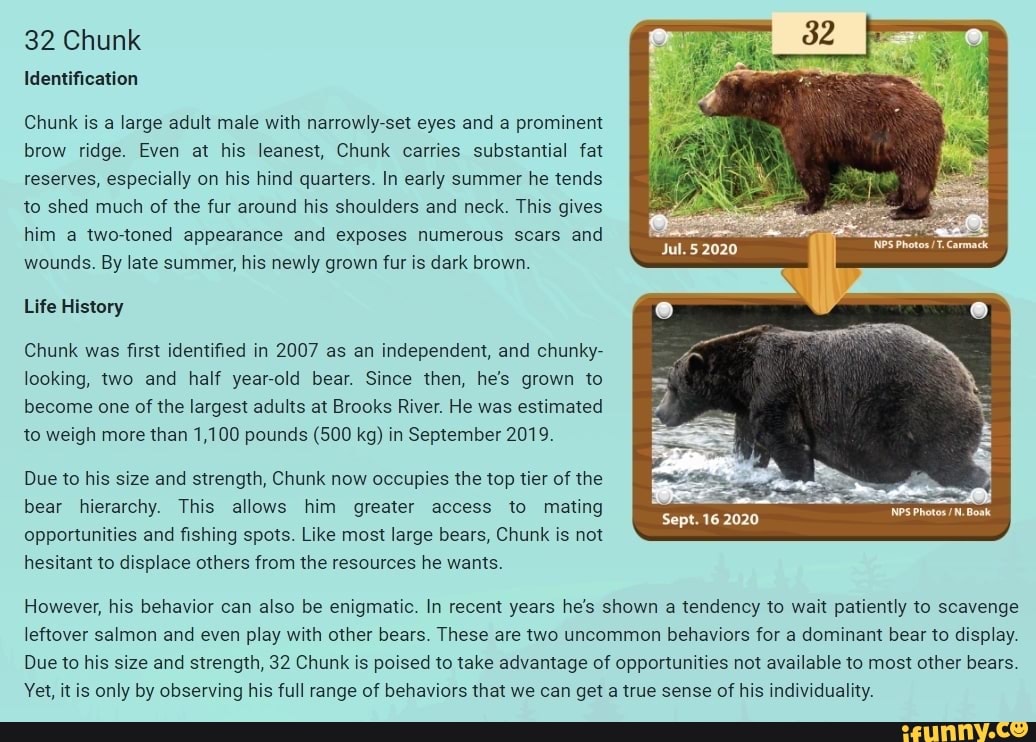 32 Chunk Identification Chunk Is A Large Adult Male With Narrowly Set Eyes And A Prominent