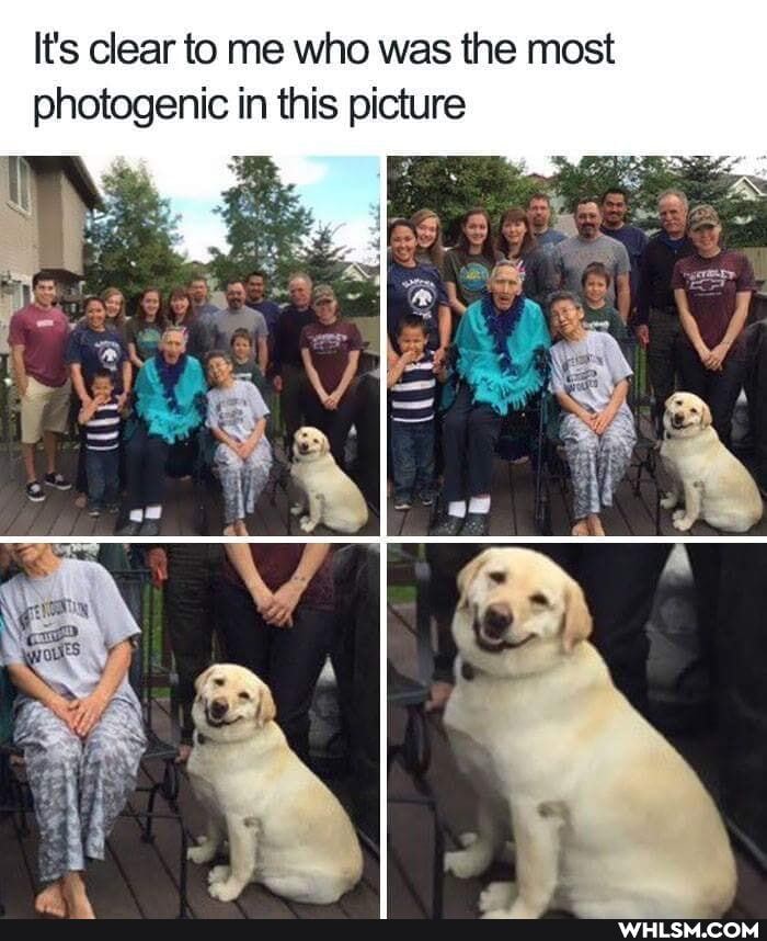 It's clear to me who was the most photogenic in this picture
