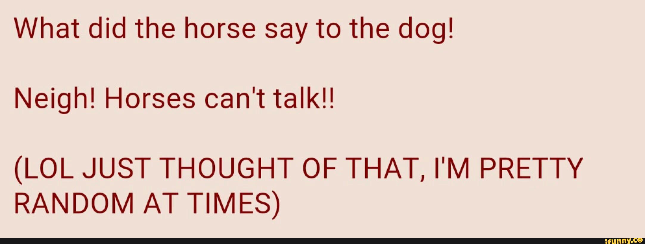 what-did-the-horse-say-to-the-dog-neigh-horses-can-t-talk-lol-just