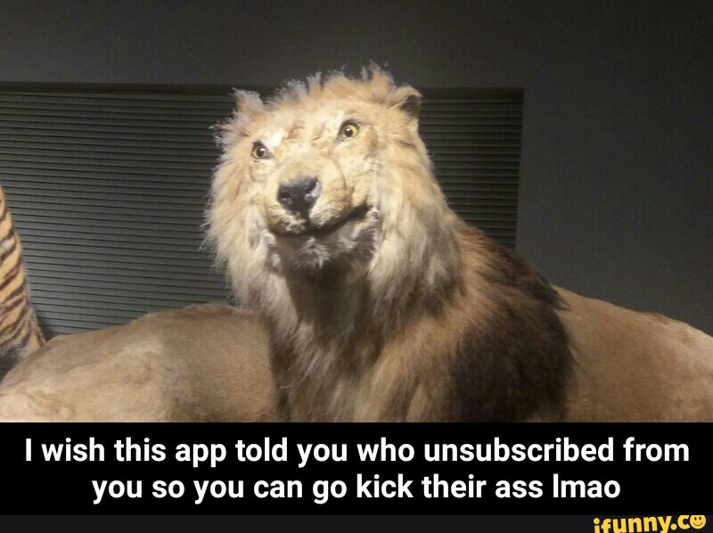 I wish this app told you who unsubscribed from you so you can go kick their...