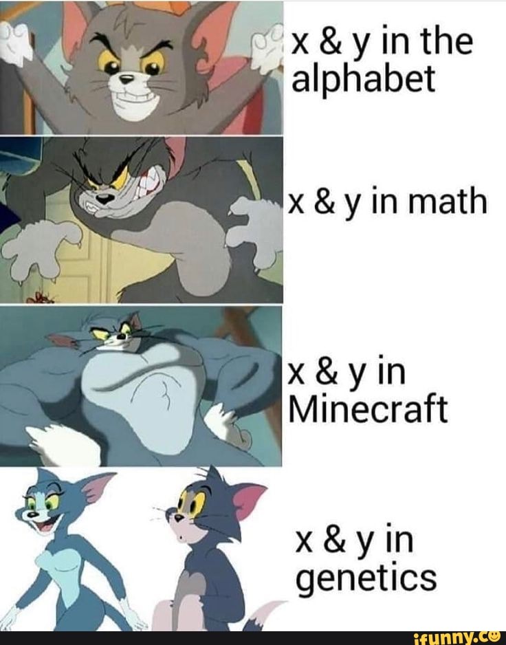 alphabet
Nx &y in math
Minecraft
E dia
genetics