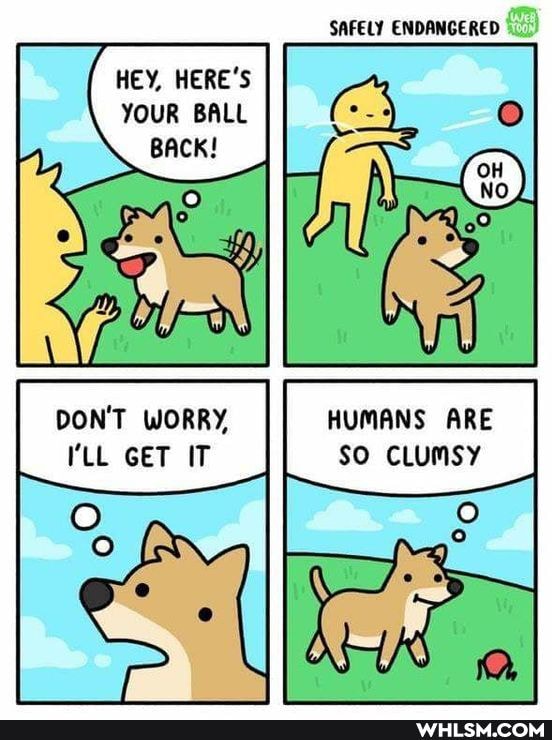 SAFELY ENDANGERED
HEY, HERE'S YOUR BALL BACK!
DON'T WORRY, HUMANS ARE LL GET IT SO CLUMSY