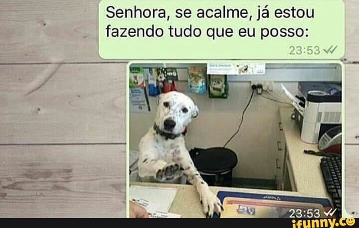 Senhora, se acalme, já estou
fazendo tudo que eu posso: