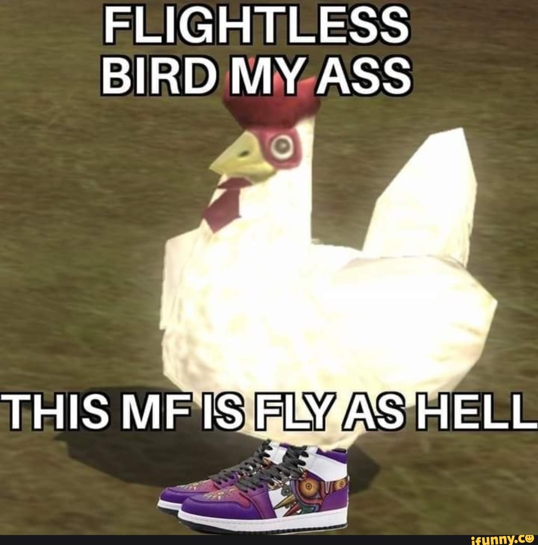 Flightless Bird My Ass This Mf Is Fiveas Hell Ifunny