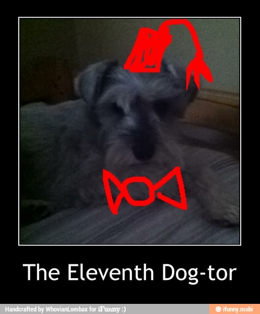 The Eleventh Dog-tor - The Eleventh Dog-tor