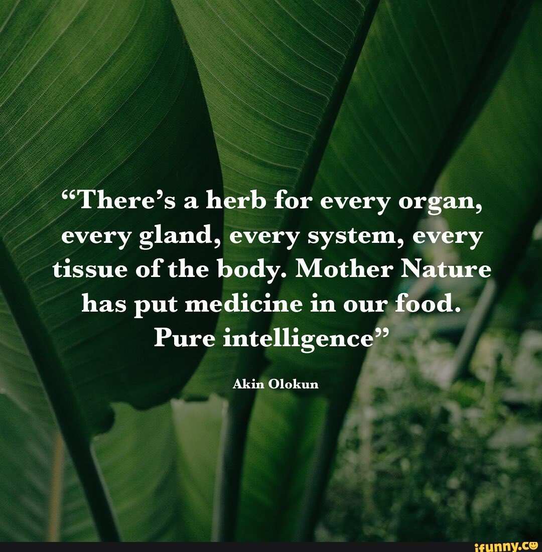 *"There's a herb for every organ, every gland, every system, every