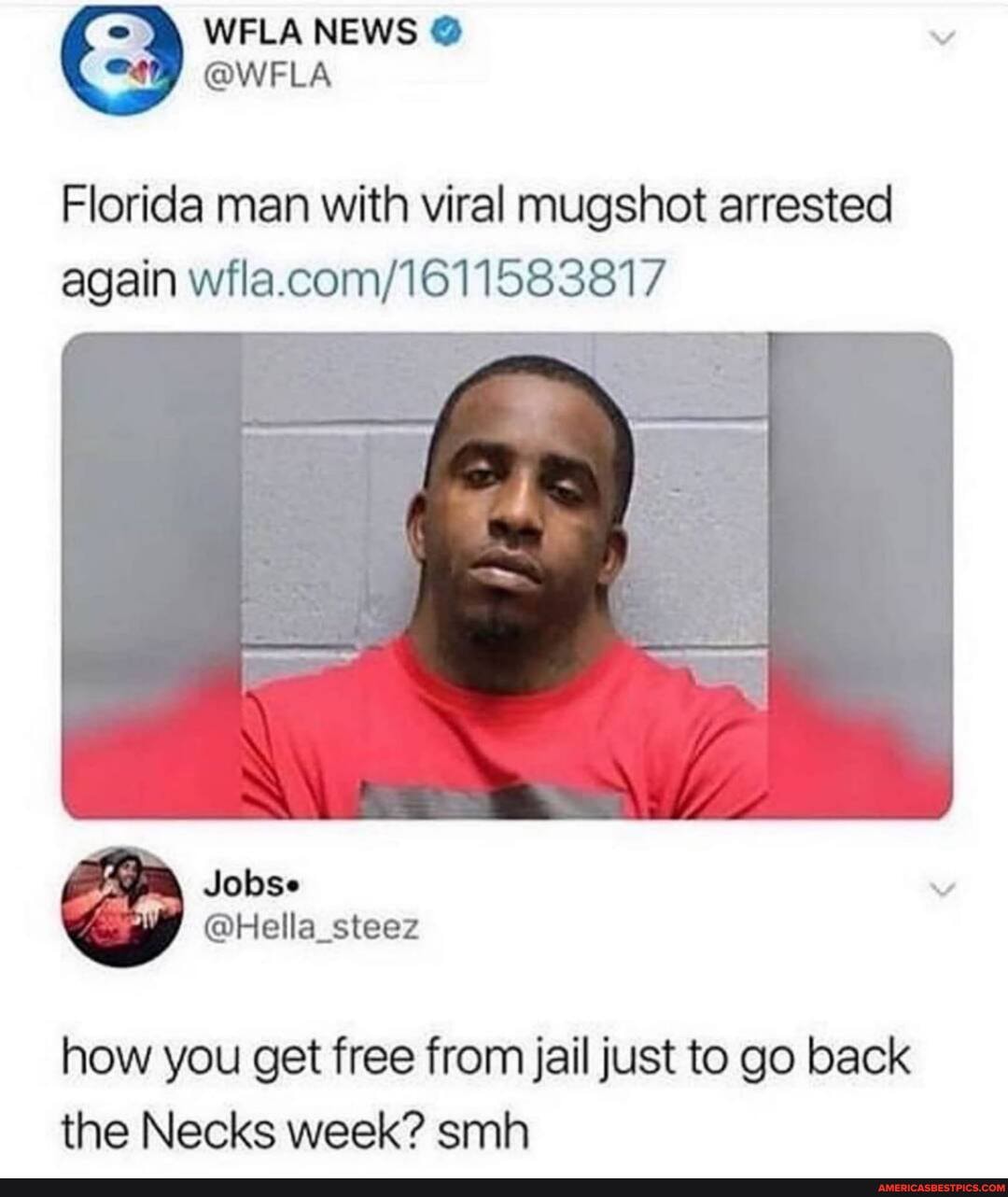 WFLA NEWS @WFLA
Florida man with viral mugshot arrested again
how you get free from jail just to go back the Necks week? smh