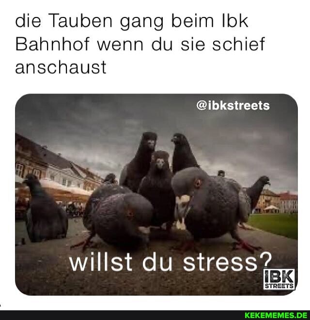 die Tauben gang beim lok
Bahnhof wenn du sie schief anschaust
willst du stress?
STREETS