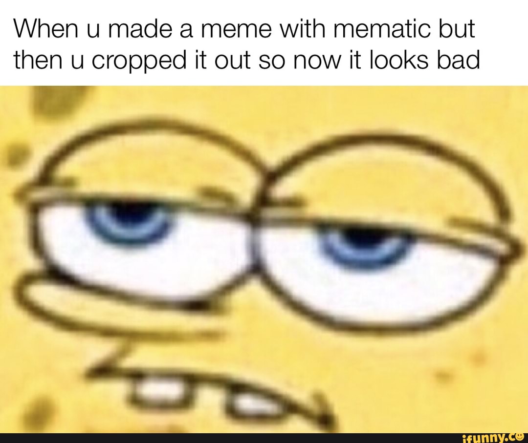 When u made a meme With mematic but then u cropped it out so now it ...