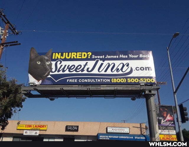 INJURED? sweet James Has Your B
