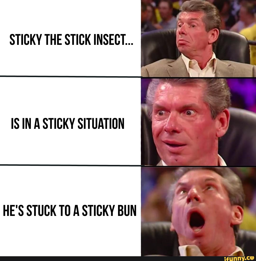 sticky-the-stick-insect-is-in-a-sticky-situation-he-s-stuck-to-a